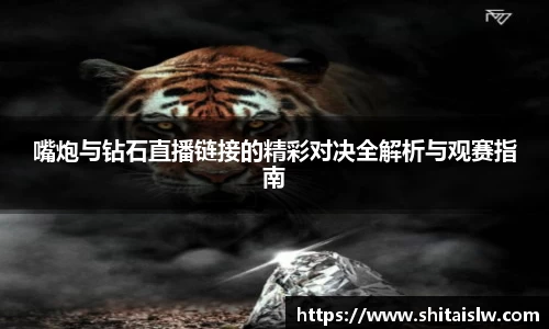 嘴炮与钻石直播链接的精彩对决全解析与观赛指南